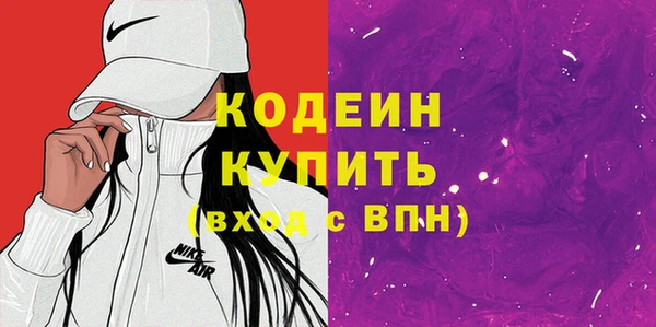 ECSTASY Алзамай