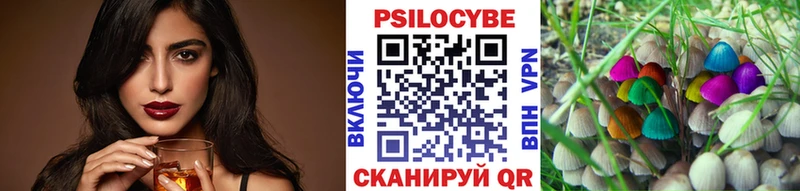 МЕГА   цена наркотик  Пудож  Псилоцибиновые грибы мицелий 